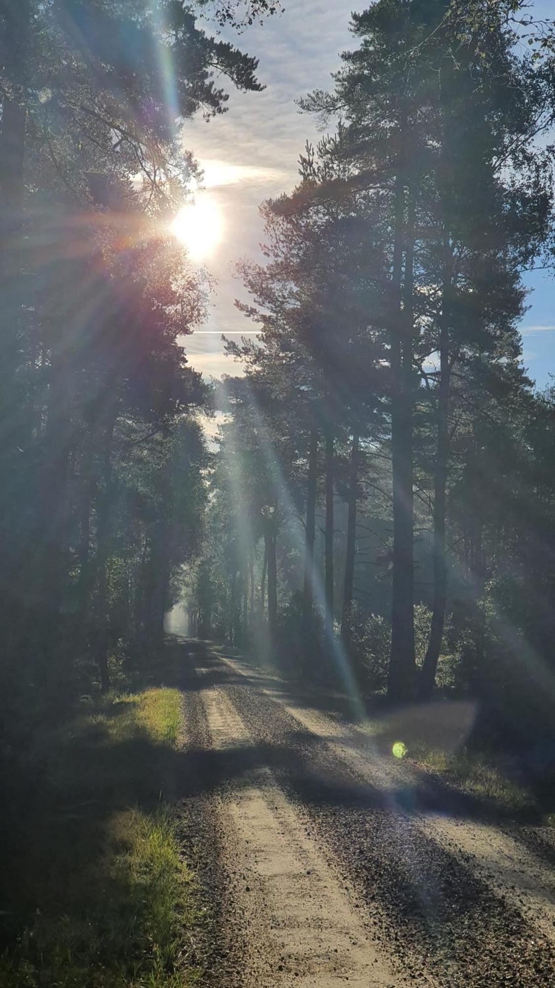 Soedra Ljunga Vandrarhem Ljungby  Luaran gambar